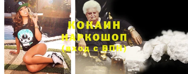 apvp Бородино