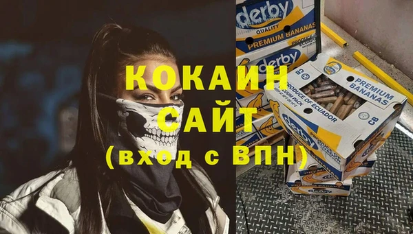apvp Бородино