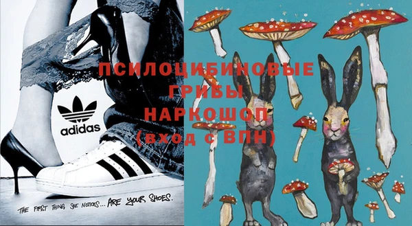 apvp Бородино
