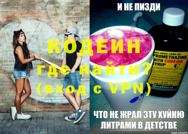 apvp Бородино